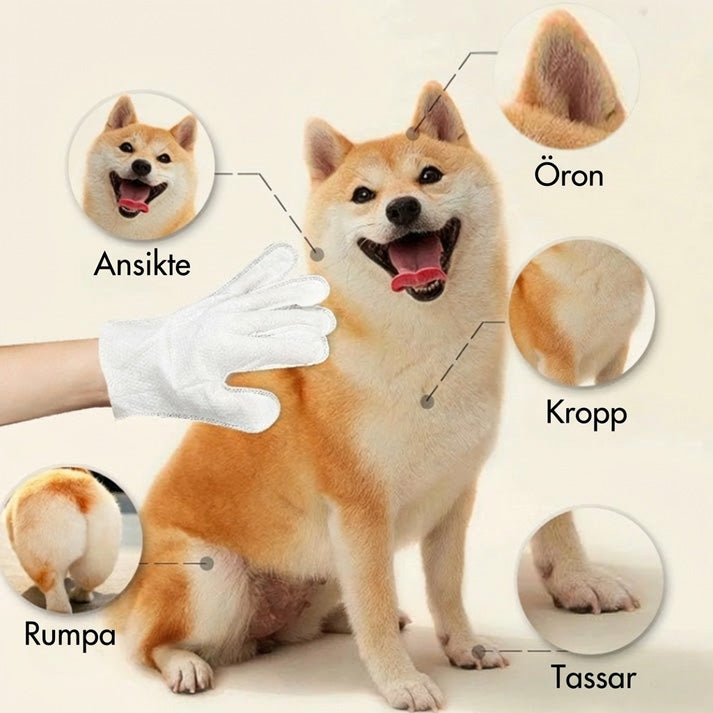 20-pack luktabsorberande rengöringsvantar för husdjur😻🐕