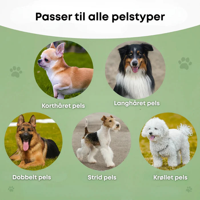 Hundebørste som stopper røyting og holder hjemmet rent