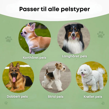 Hundebørste som stopper røyting og holder hjemmet rent