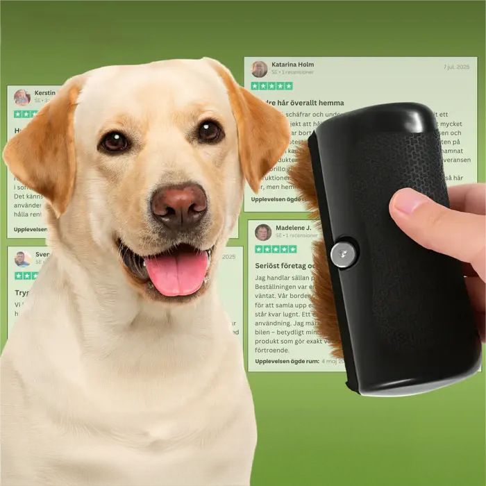 Hundebørste som stopper røyting og holder hjemmet rent