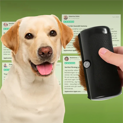 Hundebørste som stopper røyting og holder hjemmet rent