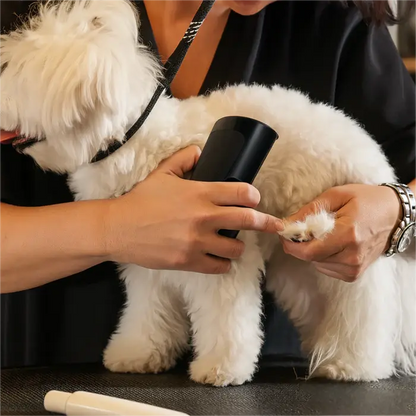 Hundebørste som stopper røyting og holder hjemmet rent