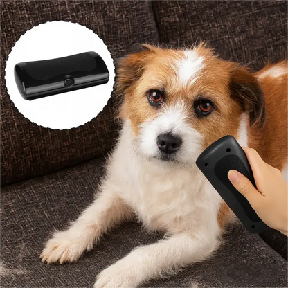 Hundebørste som stopper røyting og holder hjemmet rent