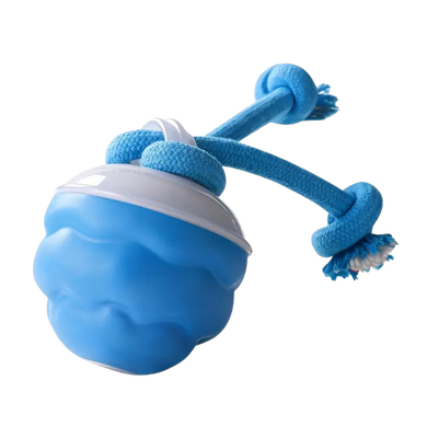 🐾 Interaktiv elektronisk ball for kjæledyr – automatisk bevegelse, tyggebestandig og beroligende for katter/hunder 🐱🐶📦 