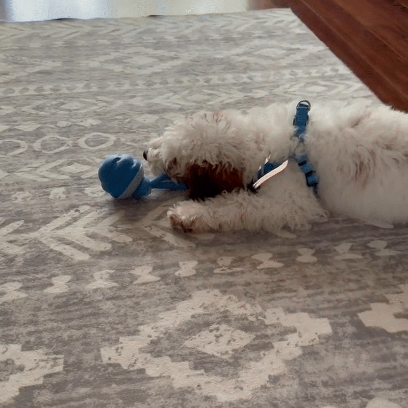 🐾 Interaktiv elektronisk ball for kjæledyr – automatisk bevegelse, tyggebestandig og beroligende for katter/hunder 🐱🐶📦 