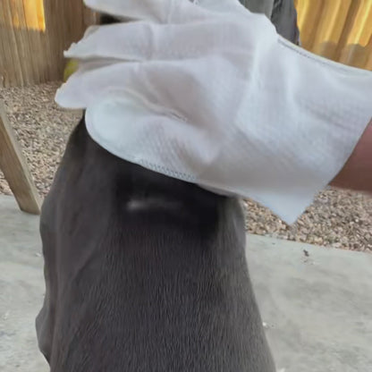 20-pack luktabsorberande rengöringsvantar för husdjur😻🐕