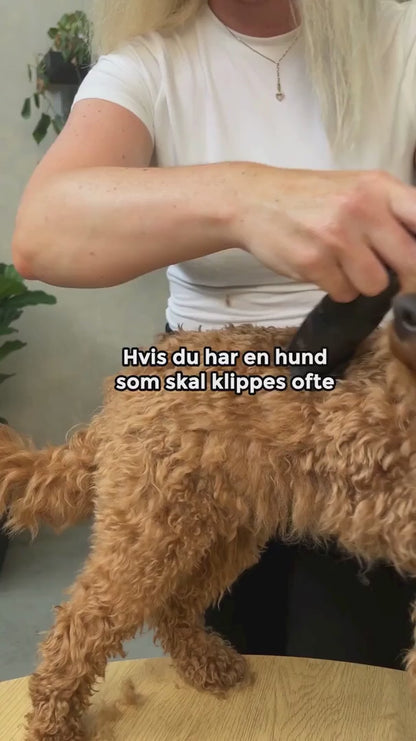 🐕😻💕Den perfekte hundeklipperen✨