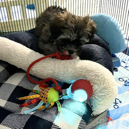 🐱🐶Smart automatisk rullende kjæledyrball💥