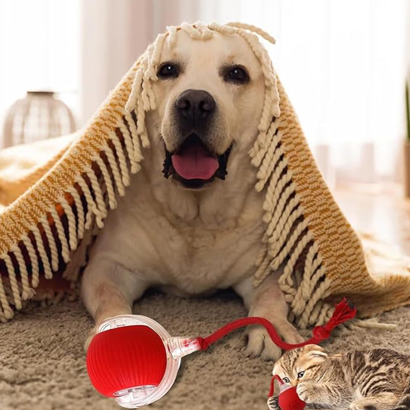🐱🐶Smart automatisk rullende kjæledyrball💥