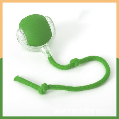 🐱🐶Smart automatisk rullende kjæledyrball💥