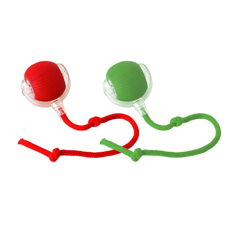 🐱🐶Smart automatisk rullende kjæledyrball💥